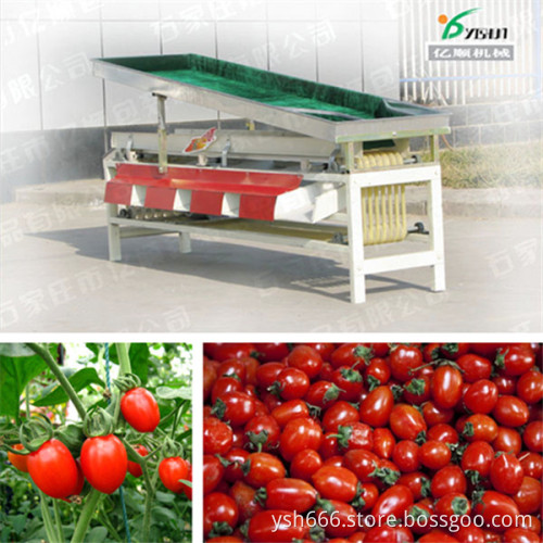 Cherry tomato grading machine YSXT-1C